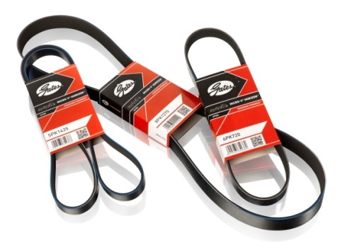 ΙΜΑΝΤΑΣ POLY-V GATES 6PK1818